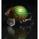 Wobler Salmo Lil Bug BG2