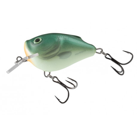 Salmo floating squarebill 5cm 14g