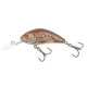 Salmo Wobler Rattlin Hornet Floating 5,5cm 