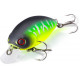 Quantum FAT Minnow SR 