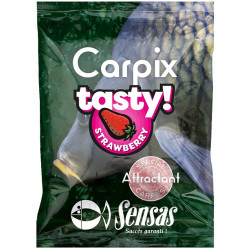 Sensas Powder Carp Tasty 300g